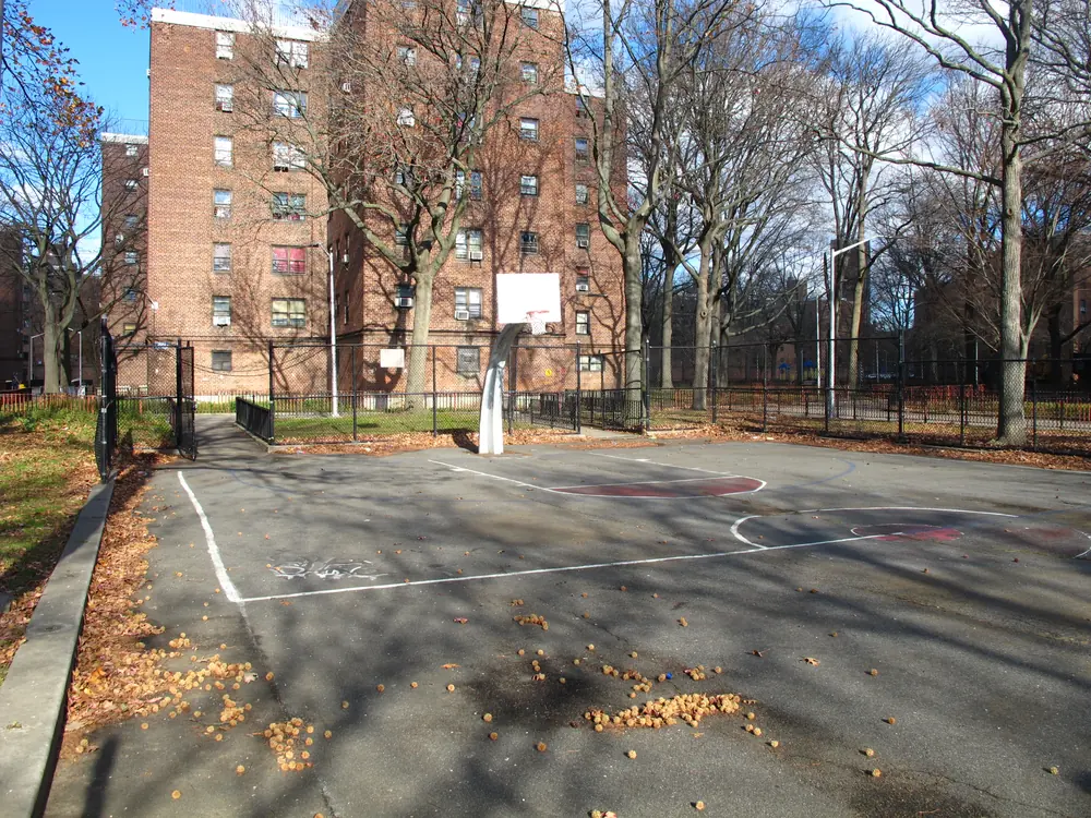 A worn asphalt court at Sheepshead Bay Houses covered in fallen leaves, with faded red paint and white lines